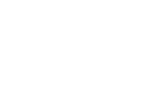 Negasa